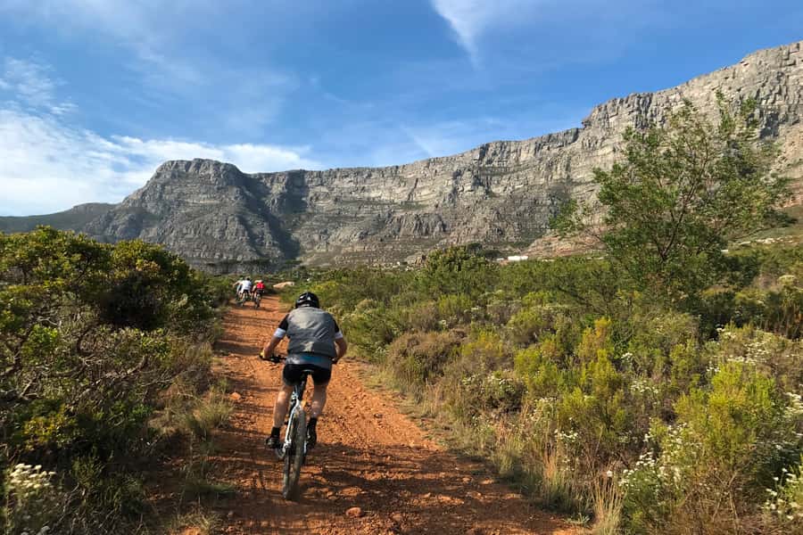Cape Town: Mountain Biking Trip along Table Mountain - Constantia Neck to Kirstenbosch