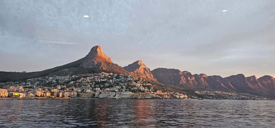 Cape Town: Ocean Safari 1 Hour - Practical advice for a smoother ride