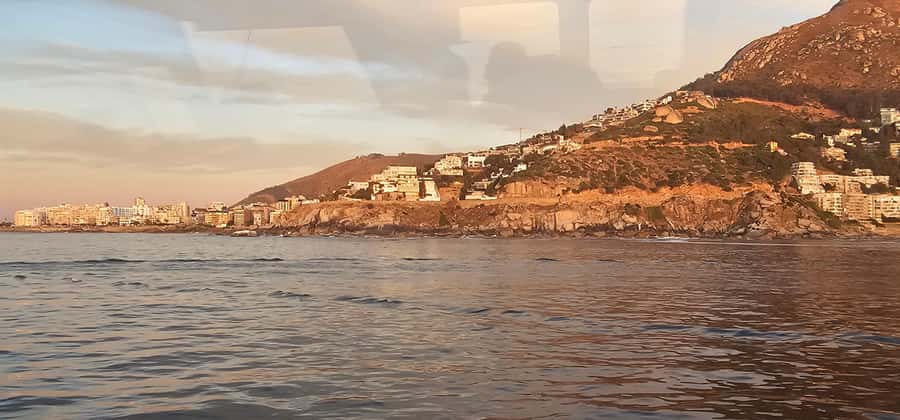 Cape Town: Ocean Safari 1 Hour - Leaving from the Nelson Mandela Gateway