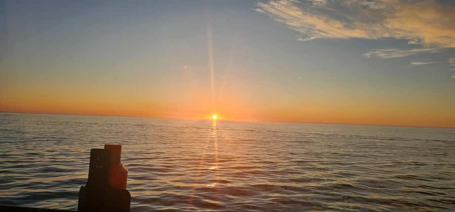Cape Town: Ocean Safari 1 Hour - Searching the Atlantic for dolphins and seals
