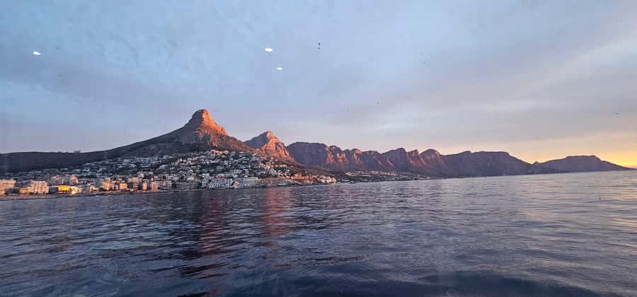 Cape Town: Ocean Safari 1 Hour - Penguins, whales, and seasonal surprises