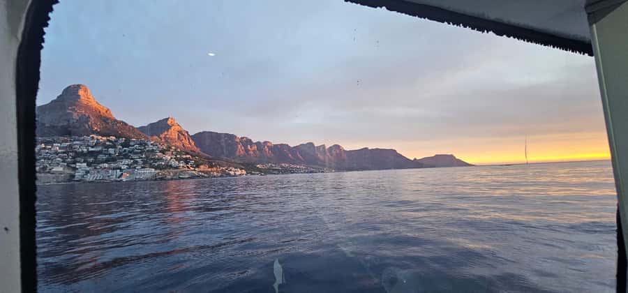 Cape Town: Ocean Safari 1 Hour - What the onboard guide adds