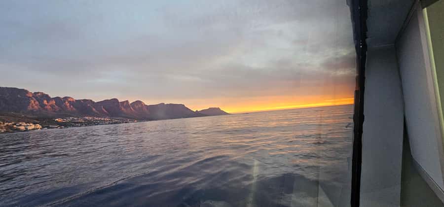 Cape Town: Ocean Safari 1 Hour - Why one hour can be the right length