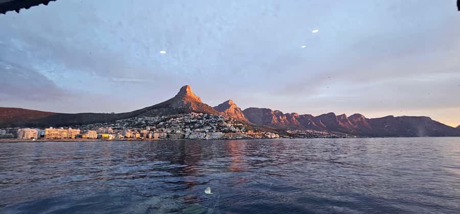 Cape Town: Ocean Safari 1 Hour - Who will enjoy this most