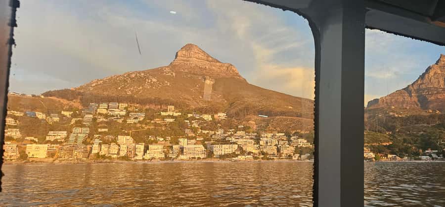 Cape Town: Ocean Safari 1 Hour - The first minutes: harbor views and Table Mountain