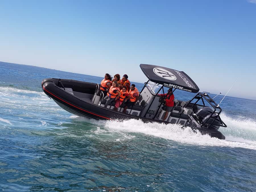 Cape Town Ocean Safari: Speed Boat Adventure in Table Bay - Key points to know before you book