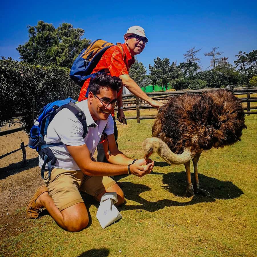 CAPE TOWN: OSTRICH RANCH QUAD BIKE RIDE & OSTRICH TOUR - How much time you really get on the quad
