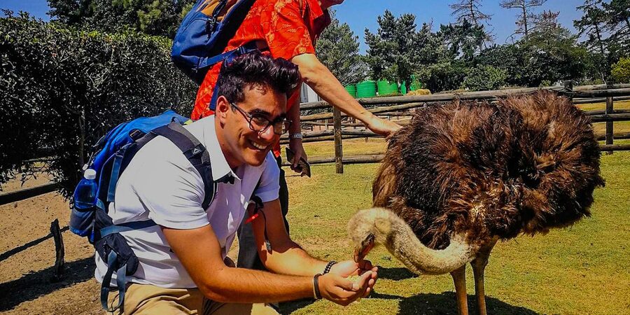 CAPE TOWN: OSTRICH RANCH QUAD BIKE RIDE & OSTRICH TOUR - The best part for families and mixed-age groups