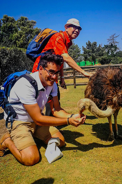 CAPE TOWN: OSTRICH RANCH QUAD BIKE RIDE & OSTRICH TOUR - Views of Table Mountain and the Cape Winelands