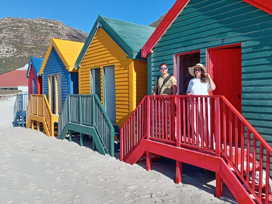 Cape Town: Penguin Watching at Boulders Beach Half Day Tour - Swimming beside African penguins