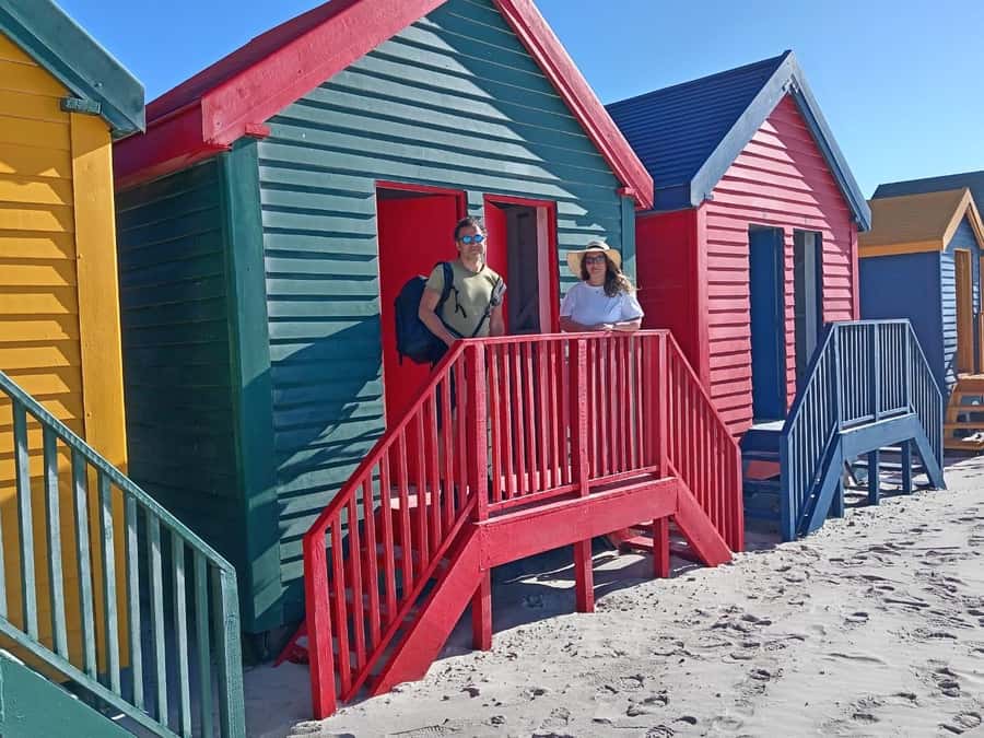 Cape Town: Penguins & Cape of Good Hope Half-Day Tour - Timing, crowds, and the risk of a rushed visit