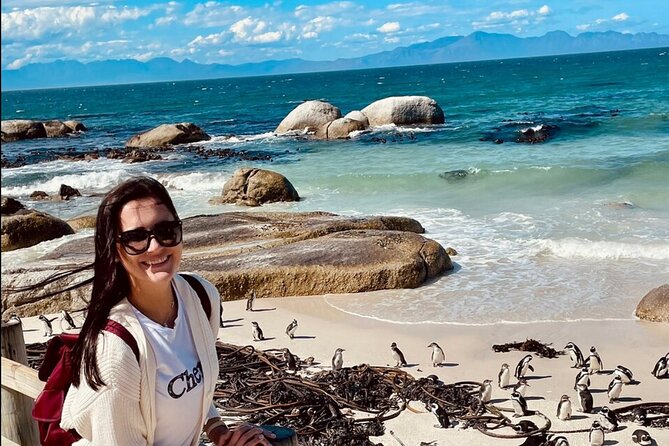 Cape Town Peninsula and Penguins Private Sightseeing Tour - Hout Bay and the optional Seal Island cruise