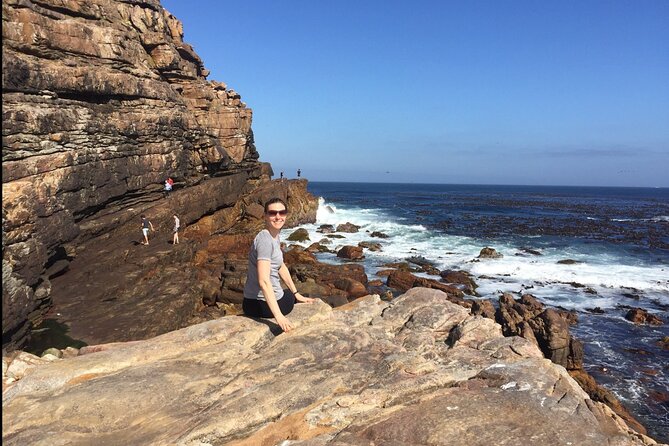 Cape Town Peninsula and Penguins Private Sightseeing Tour - Cape Point Vineyards, lunch, and the cost of extras