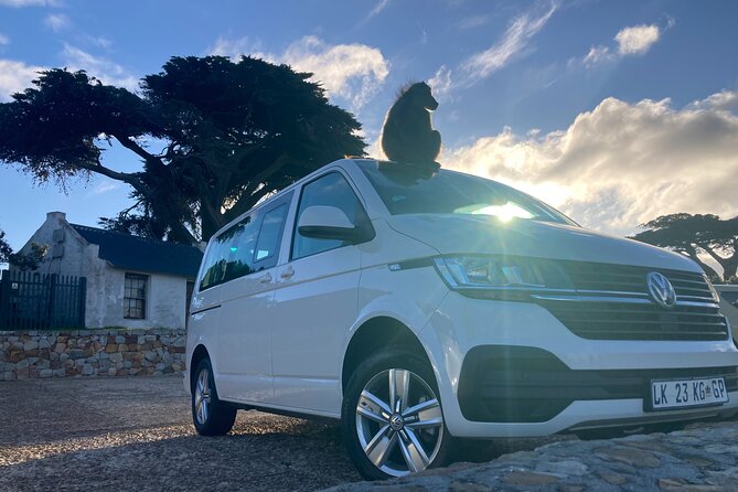 Cape Town: Peninsula, Cape of Good Hope and Penguins Tour - Boulders Beach: one hour with African penguins