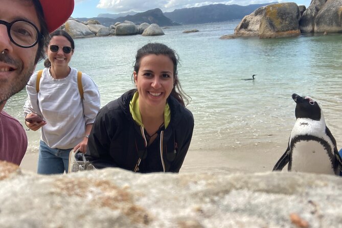 Cape Town: Peninsula, Cape of Good Hope and Penguins Tour - Cape Point Nature Reserve: the day’s biggest stop