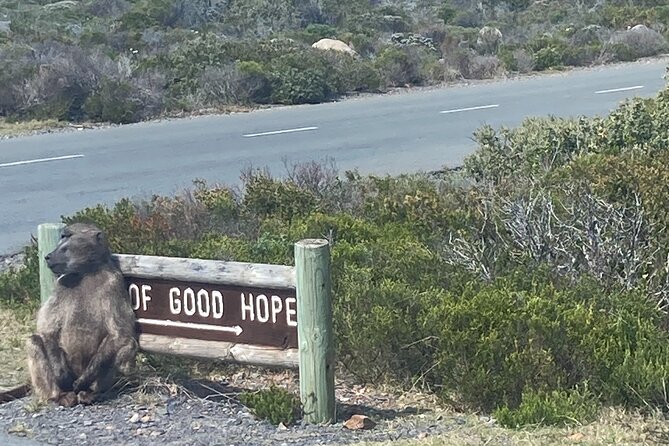 Cape Town: Peninsula, Cape of Good Hope and Penguins Tour - Price, inclusions, and the real value