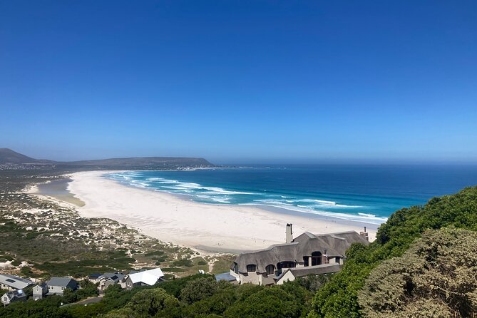 Cape Town: Peninsula, Cape of Good Hope and Penguins Tour - Timing, pickup, and who should choose it