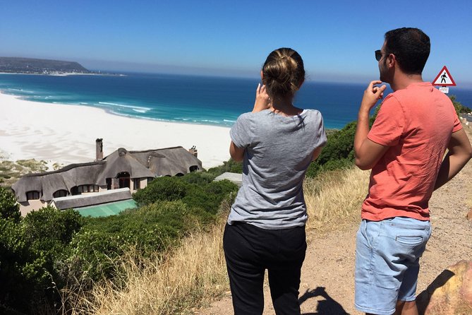 Cape Town Peninsula Day Tour ( Cape Point/Boulders/Wine Tasting) - A full day around the Cape Peninsula
