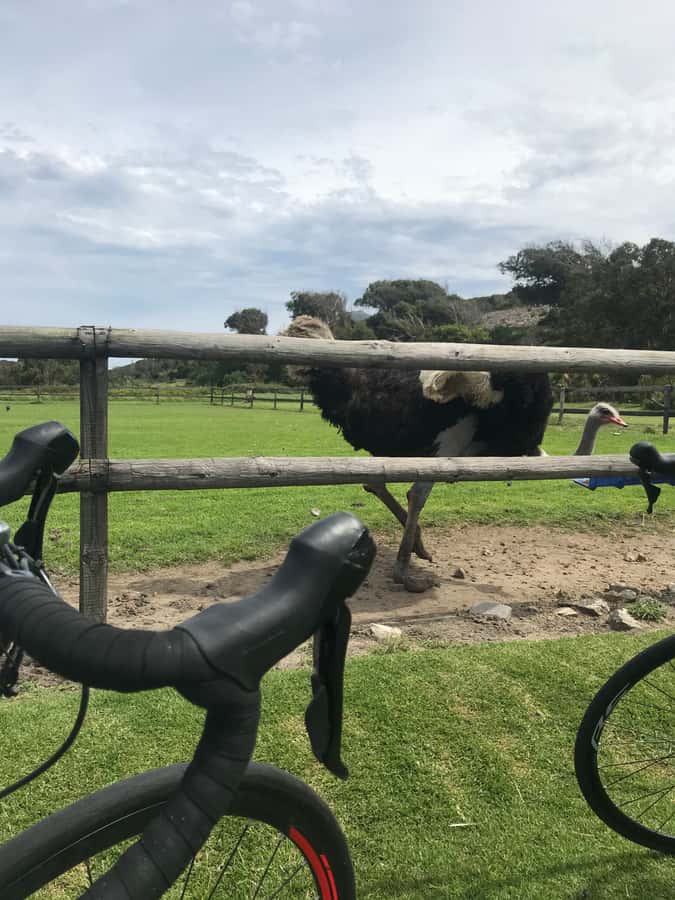 Cape Town: Peninsula Road Bike Tour - The long return through Noordhoek and Ou Kaapse Weg