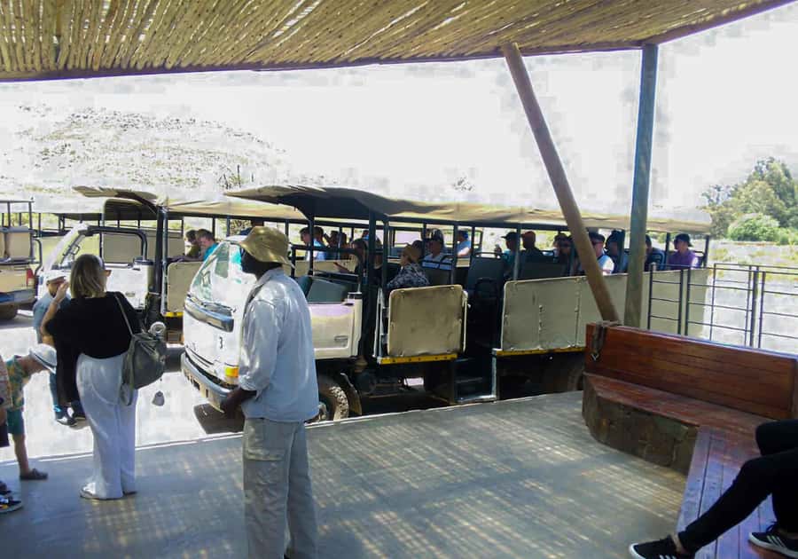 Cape Town: Private Aquila Reserve Safari with Winery Lunch - Entering Aquila Private Nature Reserve