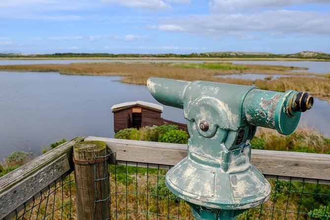 Cape Town Private Birding Tour - Price, extra fees, and what you really receive