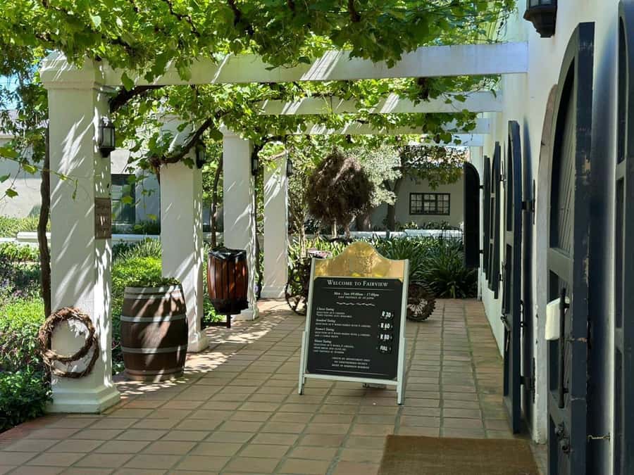 Cape town: Private Full-day Big 5 Aquila Game Reserve Tour - The 2 to 3 Hour Big Five Game Drive