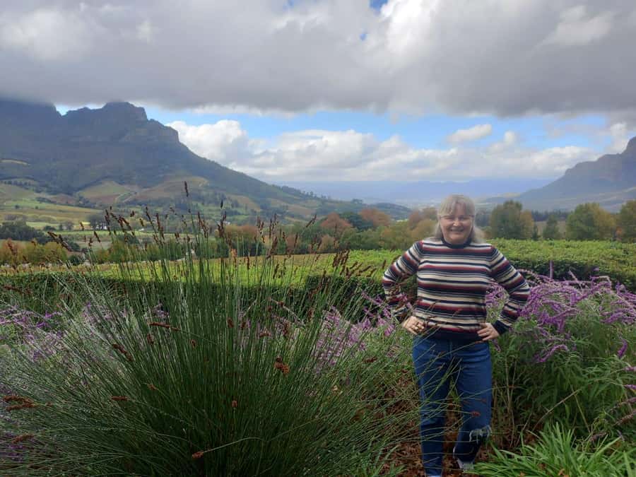 Cape Town: Private Full-Day Cape of Good Hope Tour - Why a private Cape Peninsula day makes sense