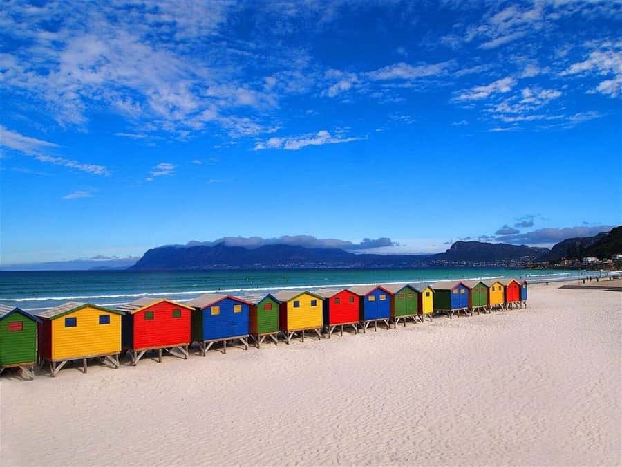 Cape Town: Private Full-Day Cape of Good Hope Tour - Starting in Cape Town: Bo-Kaap and the Atlantic seaboard