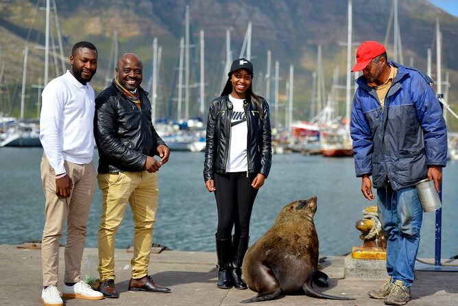 Cape Town Private Group Tour to Cape of Good Hope and Boulders Penguins Colony - Hout Bay and the optional Seal Island boat