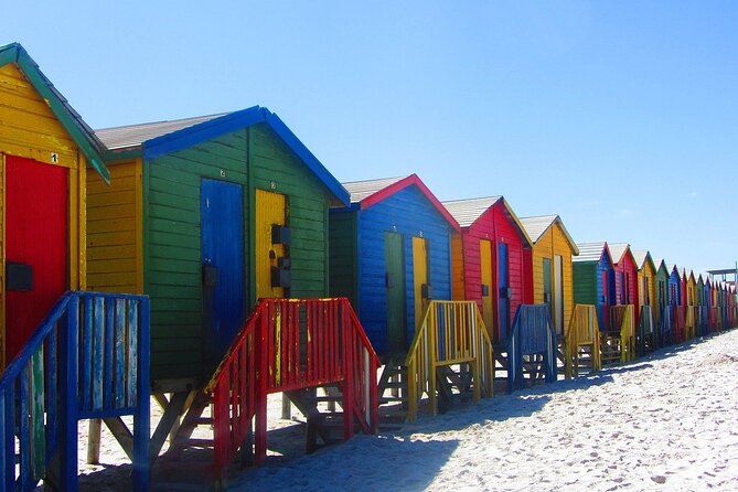 Cape Town Private Group Tour to Cape of Good Hope and Boulders Penguins Colony - Cape of Good Hope and the famous sign