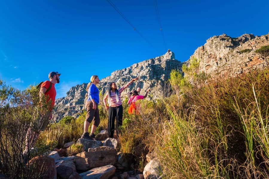 Cape Town Private Guided Table Mountain Hikes - Six hours from Cape Town to the mountain