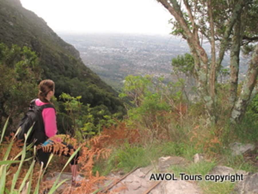 Cape Town Private Guided Table Mountain Hikes - Fitness, safety, and the real effort involved