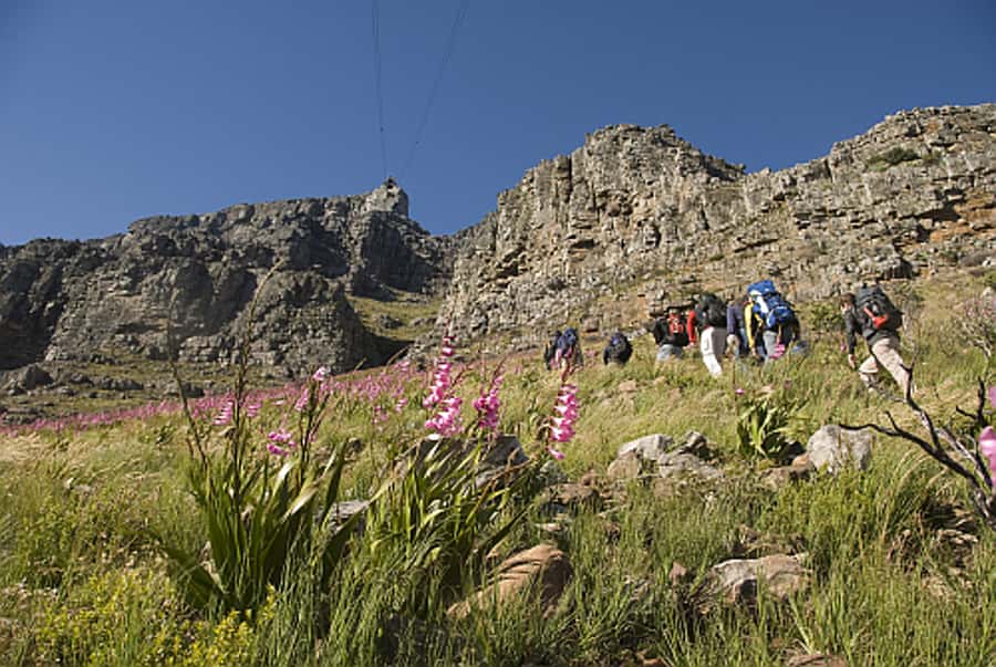 Cape Town Private Guided Table Mountain Hikes - Language and private-group details