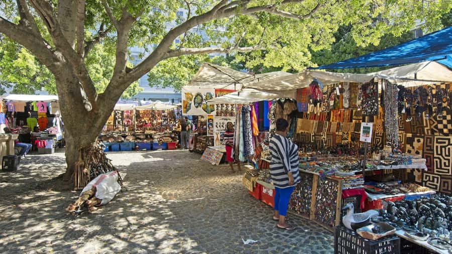 Cape Town Private Tour with a Local Highlights & Hidden Gems - Starting at Cape Town City Hall