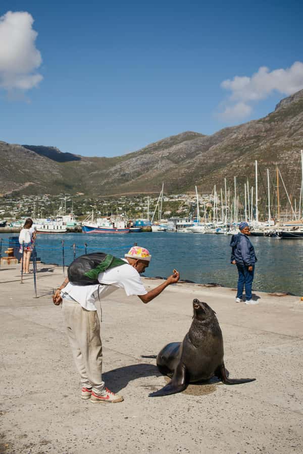 Cape Town: Private Tour with Customizable Itinerary - Cape Town city sights offer an easier, shorter day