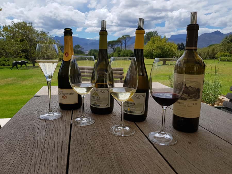 Cape Town: Private Wine Tour - Steenberg Farm and six flagship wines