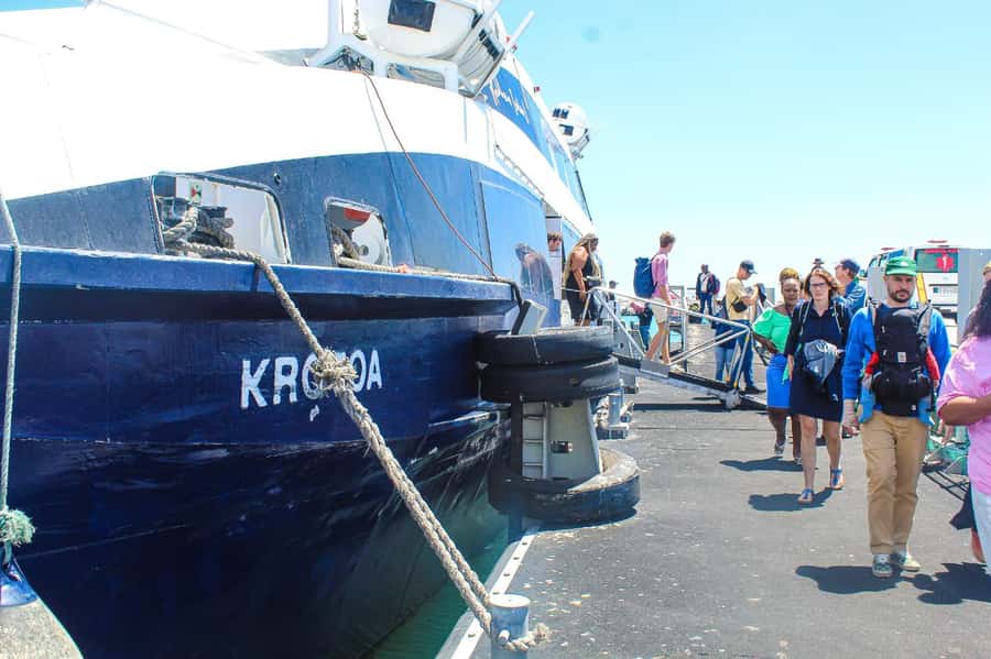 Cape Town: Robben Island ferry ticket plus Guided Tour - Starting at the Nelson Mandela Gateway