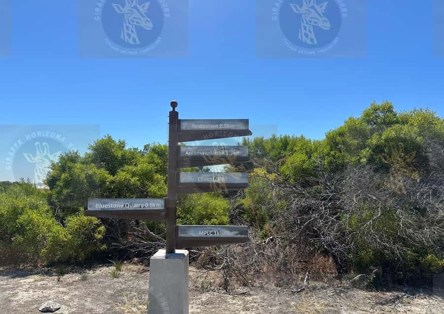 Cape Town: Robben Island Ferry with Prison Ticket and Tour - Exhibits, displays, and free time