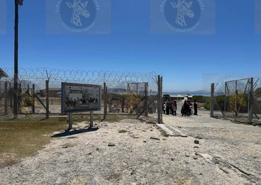 Cape Town: Robben Island Ferry with Prison Ticket and Tour - Who will enjoy this tour most