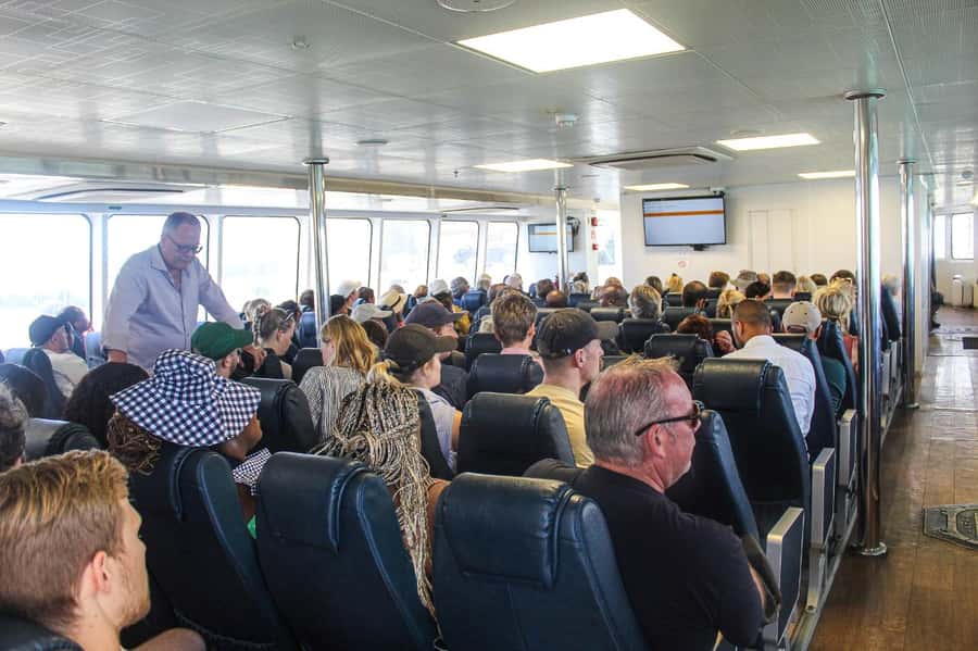 Cape Town:Robben Island Guided Tour, Skip the Ticketing Line - Key points to know before you book