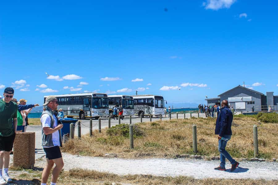 Cape Town:Robben Island Guided Tour, Skip the Ticketing Line - Weather, queues, and booking details that matter