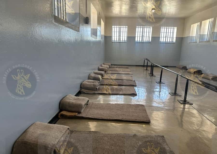 Cape Town: Robben Island Half-Day Tour w/ Pre-Booked Ticket - Practical ways to get more from the day