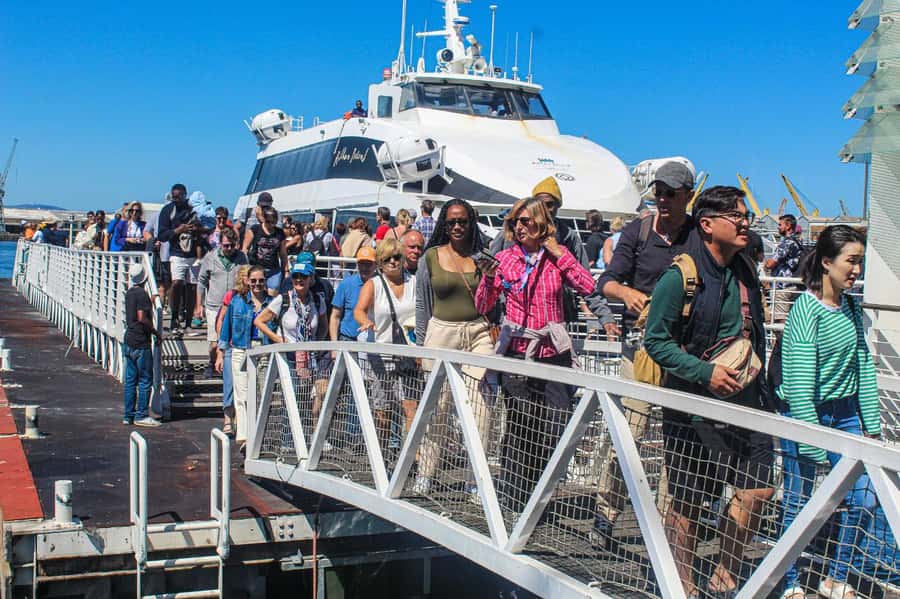 Cape Town: Robben Island plus Table Mountain Tickets - Key points at a glance