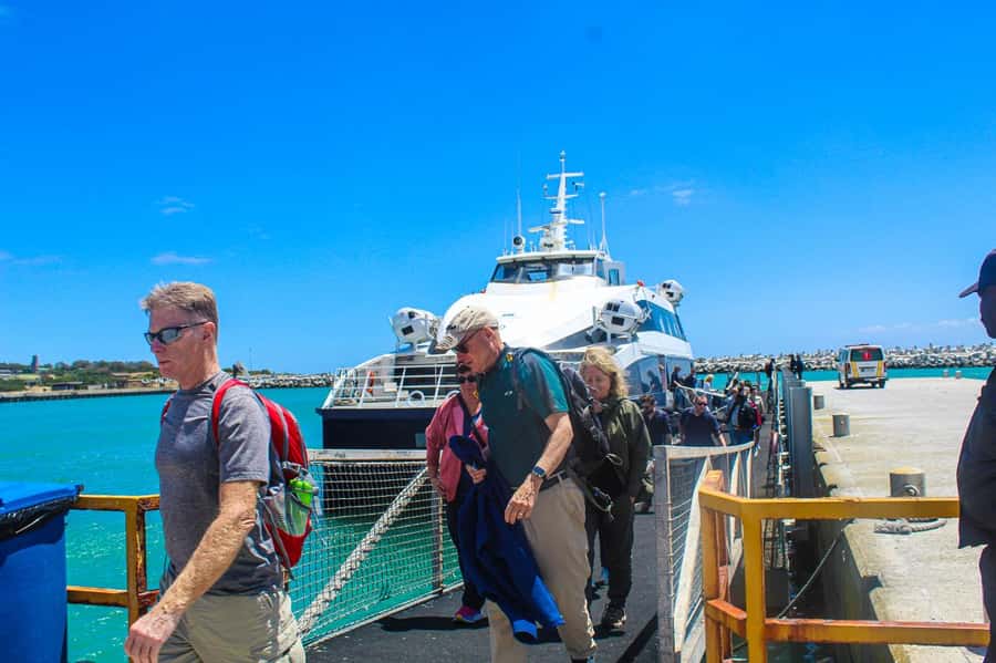 Cape Town: Robben Island plus Table Mountain Tickets - Returning to the mainland and changing gears