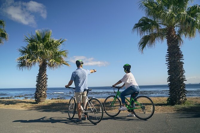 Cape Town's Finest City Bike Tour - Greenmarket Square and central Cape Town