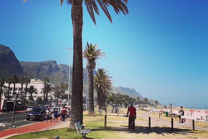 Cape Town's Finest City Bike Tour - Bikes, helmets, pace, and comfort