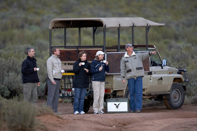 Cape Town Safari Big 5 experience all inclusive - A 2.5-hour game drive in Big Five country