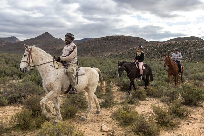 Cape Town Safari Big 5 experience all inclusive - The animals you may encounter