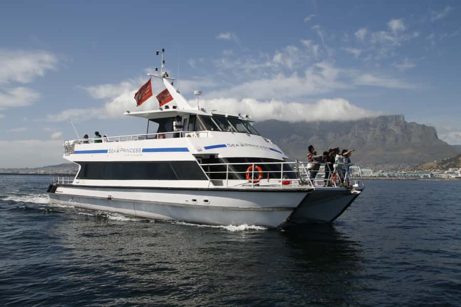 Cape Town: Scenic 1-Hour Coastal Catamaran Cruise - Key details before you book