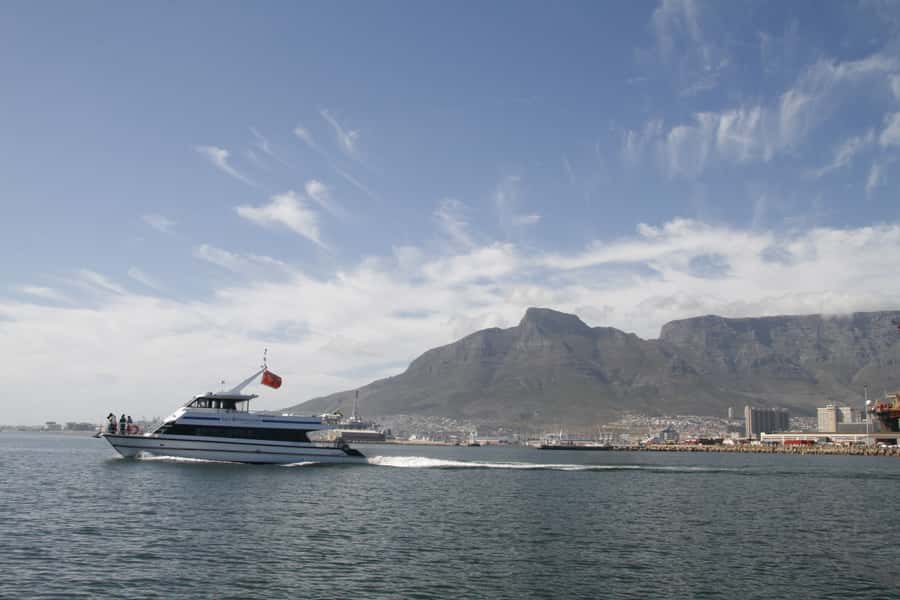 Cape Town: Scenic 1-Hour Coastal Catamaran Cruise - Choosing your seat and preparing for the sea